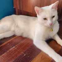 Photo of Alice