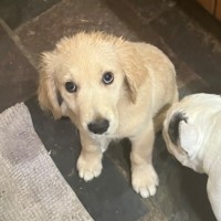 Photo of Eddie