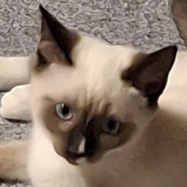Photo of Lucy Lou