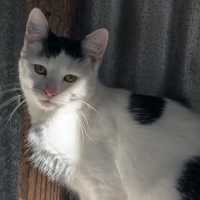 Photo of Diva