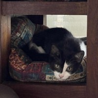 Photo of Chihiro