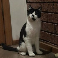 Photo of Apollo