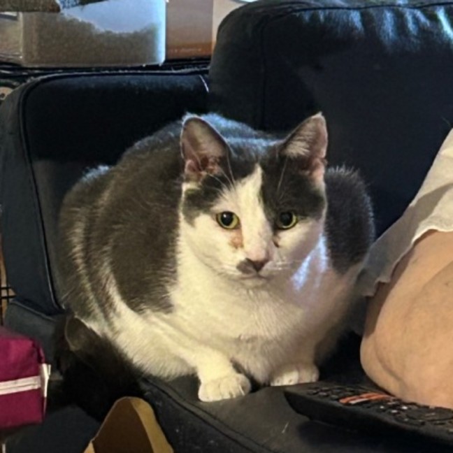 Photo of Cookie Mumma