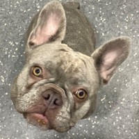 Photo of Marley