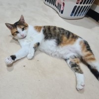 Photo of Coco 🥥