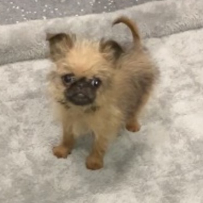 Photo of Eric