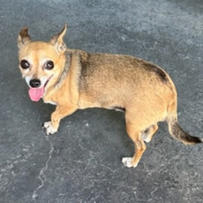 Photo of Bonny (Bon Bon)