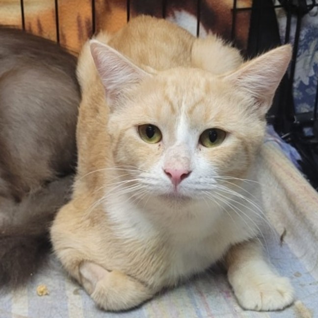 Photo of Hulio ☀️