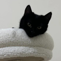 Photo of ✨Winnie✨