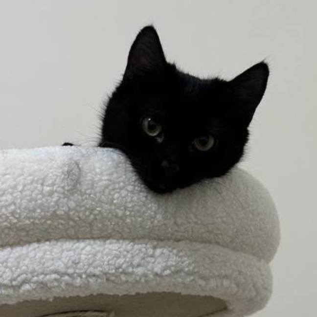 Photo of ✨Winnie✨