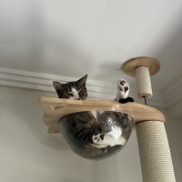 Photo of Louie