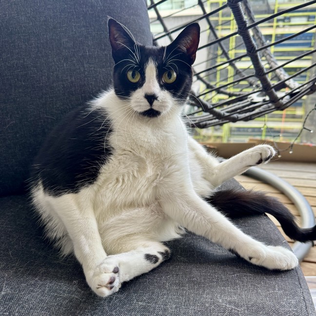 Photo of Marbles