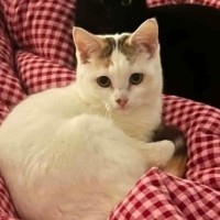 Photo of Polly
