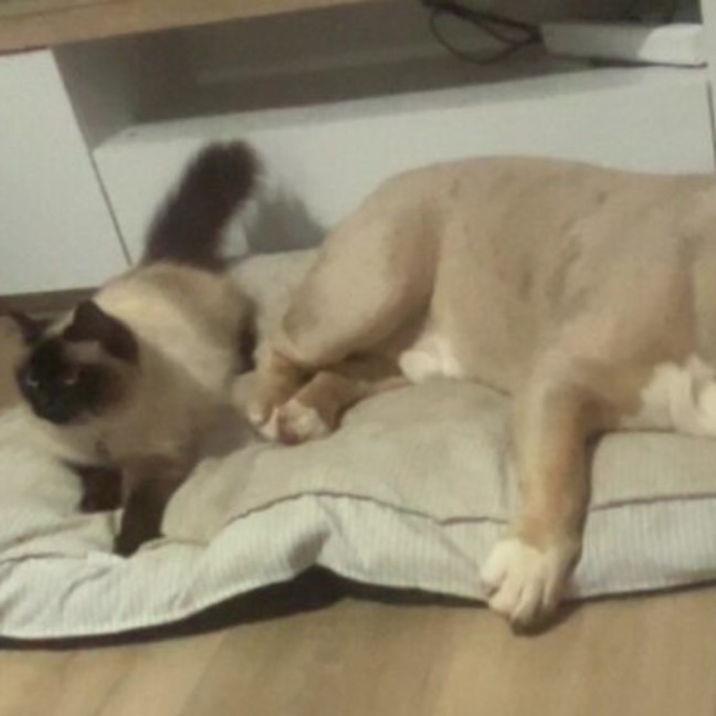 Photo of Polly
