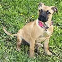 Photo of Hippolyta
