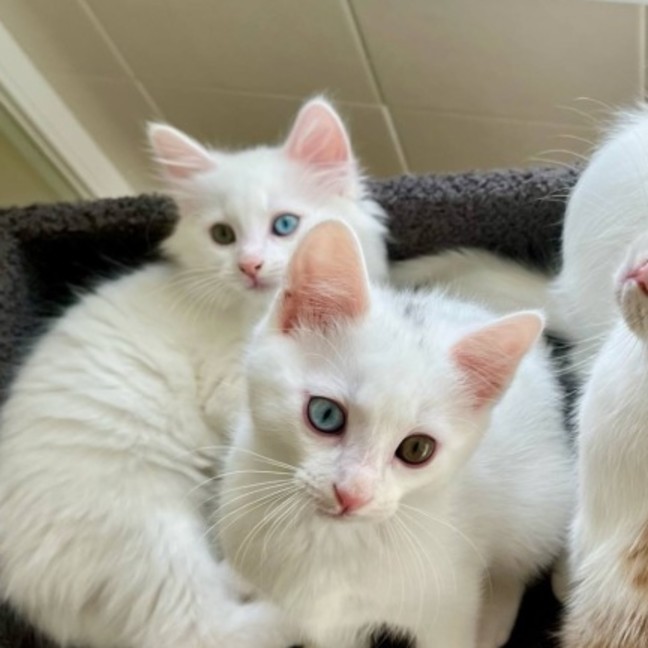 Photo of 🧸 Jesse 🧸