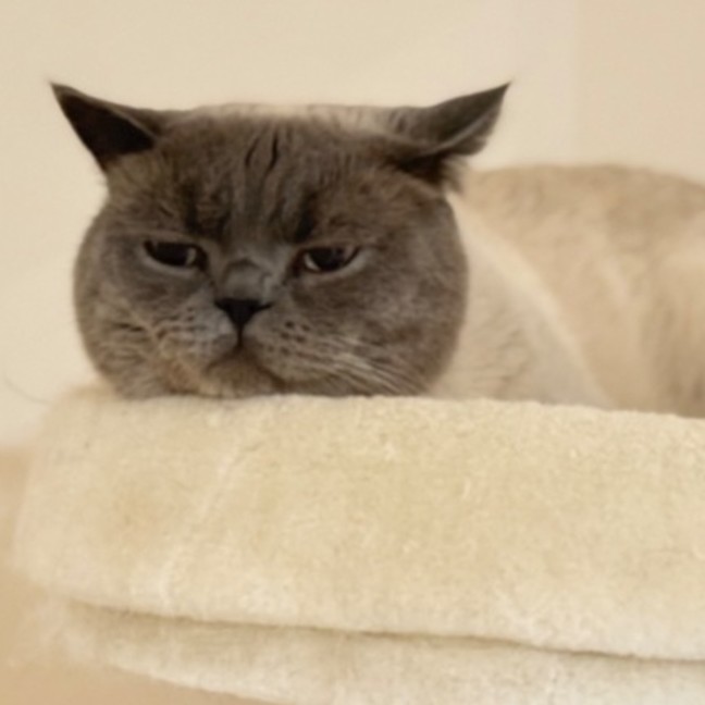 Photo of Sir Earl Grey