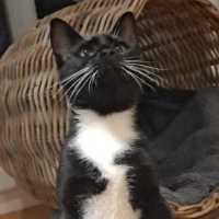 Photo of Mitzy