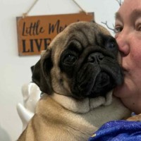 Photo of Bruce