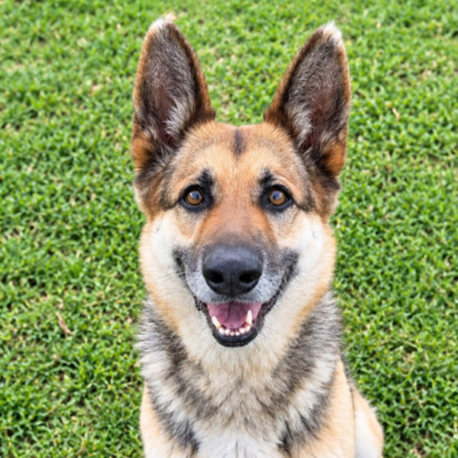 Photo of Maya
