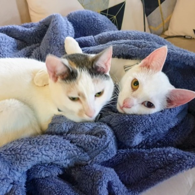 Photo of Louis And Hermione