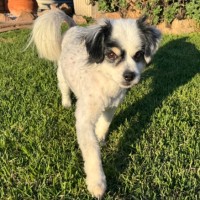 Photo of Betsy & Nigel