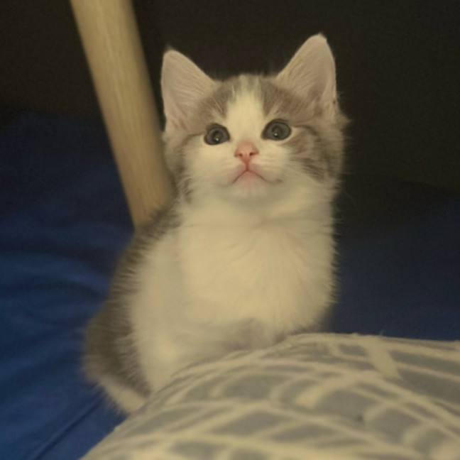 Photo of Kiara 🌺🌺🌺