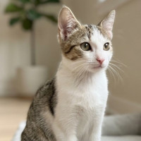 Photo of Winston