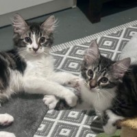 Photo of Zach ❤️😎