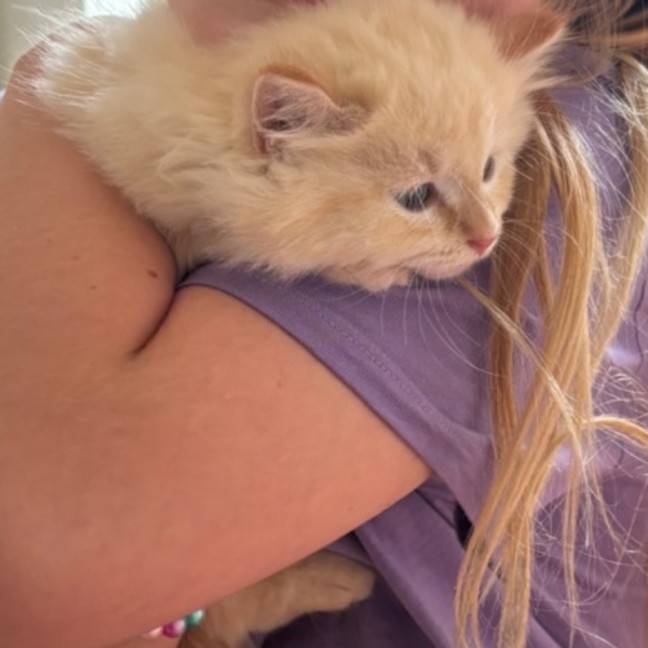 Photo of Oats Meet Me @Petstock Carrum Downs Store