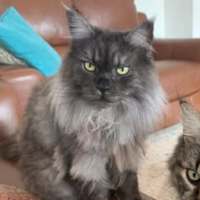 Photo of 🤍 Magritte 🤍