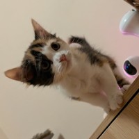 Photo of El