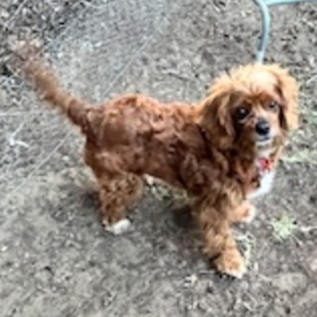 Photo of Meg