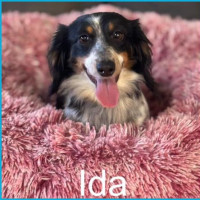 Photo of Ida And Tulsa