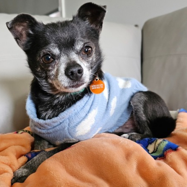 Photo of Chiquita & Alejandro