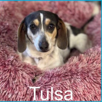 Photo of Ida And Tulsa