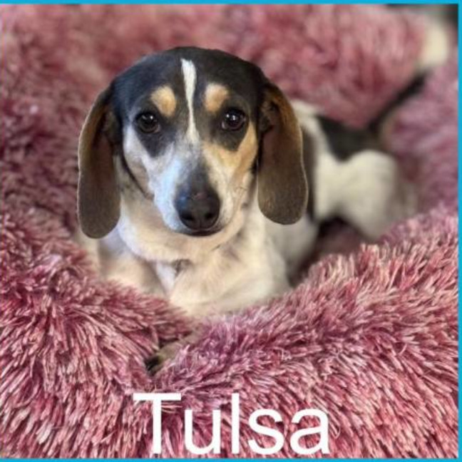 Photo of Ida And Tulsa