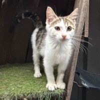 Photo of Jemima