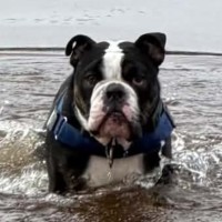 Photo of Max