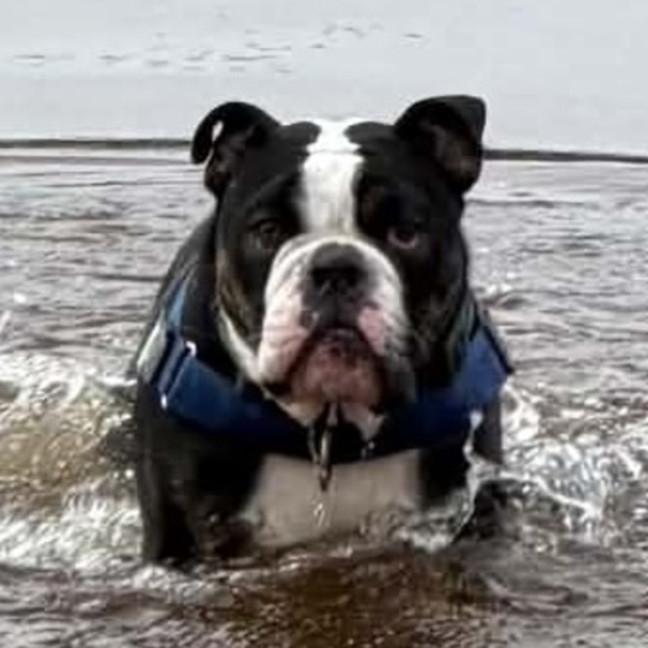 Photo of Max