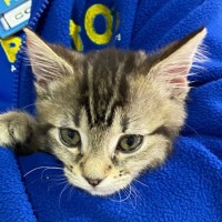 Photo of Spunky Spud