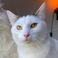 Photo of Aiko And Emiri 🌺💙