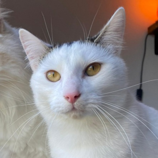 Photo of Aiko And Emiri 🌺💙