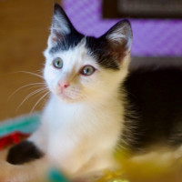 Photo of 🐭 Mickey 🐭