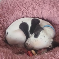 Photo of Kaitoa