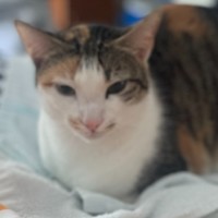 Photo of Missy