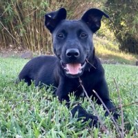 Photo of Storm