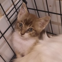 Photo of Connie
