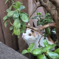 Photo of Kiki