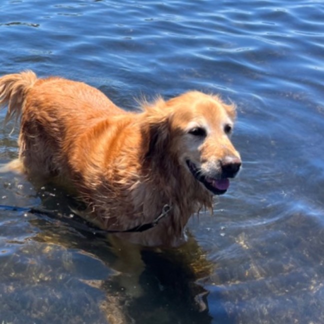 Photo of Daisy And Tonka 